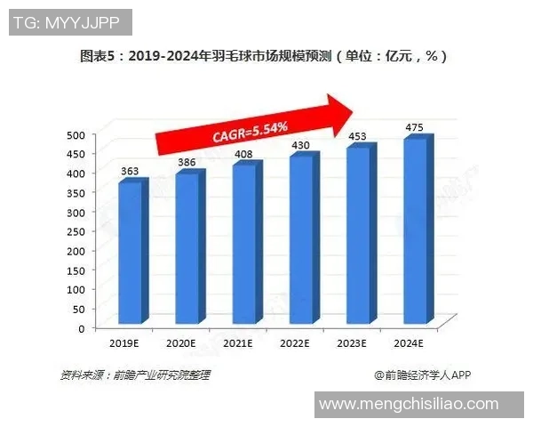 武汉羽毛球队状态分析与未来展望聚焦羽毛球发展新机遇 武汉羽毛球队状态分析与未来展望聚焦羽毛球发展新机遇